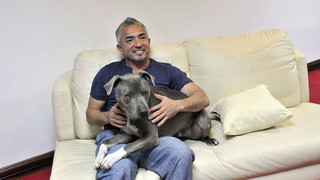 Heidi engagiert Cesar Millan