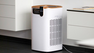 Treuepunkte sammeln & Luftreiniger gewinnen