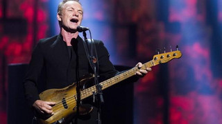 Sting verschiebt wegen Erkrankung vier Konzerte in Deutschland