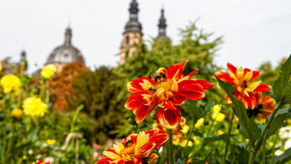 Ausgesprochen Himmlisch am 23. April - Überraschend vielfältig