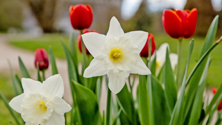 Ausgesprochen Himmlisch am 20. und 21. April – Frohe Ostern!