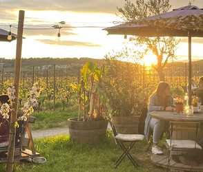 Tipp: Die Rheingauer Schlemmerwochen 2026