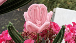 Blumen Basteln Hofheim