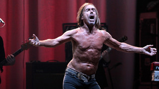 Iggy Pop erzählt Gute-Nacht-Geschichte