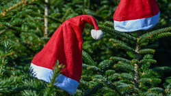 Nikolausfest auf der Kellerranch in Weiterstadt