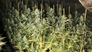 Razzia in Laubach: Polizei macht Millionen-Fund in Halle