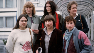 80er-Kuriosum: Stricken im Plenarsaal, Grüne Revolution im Bundestag