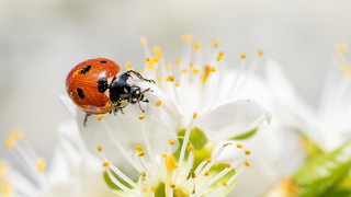 Ausgesprochen Himmlisch am 8. März: Erlebnisse für Herz und Seele