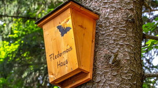 Ausgesprochen Himmlisch am 20. August - Batnight und 111 Himmlische Orte