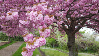 Ausgesprochen Himmlisch am 29. März - Karfreitag - Von Schatten und Licht