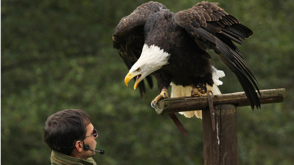 Hofgeismar: Sababurg Tierpark