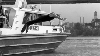 Sprung in den Rhein: 80er-Umweltminister Klaus Töpfer geht baden