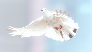 Kreuz und Quer am 19. und 20. Mai - Pfingsten