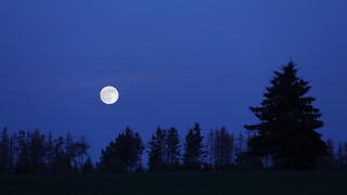 Weinheim: Junge Leute mitten in der Nacht aus Wald gerettet