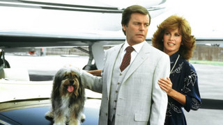 Die 80er-Serie "Hart aber herzlich" mit Hund Friedwart