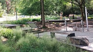 Frankfurter Wasserpark: Kleinod an der Friedberger Warte