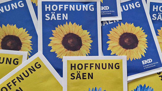 Ausgesprochen Himmlisch am 5. Februar: Blumensamen für die Ukraine