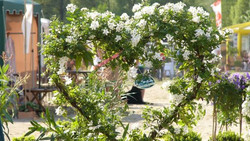 Maifest im Landmuseum Ransel