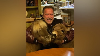 Instagram: Arnold Schwarzenegger bleibt zu Hause