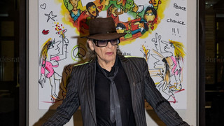 75 000 Euro für Udo Lindenbergs Gemälde und die Hamburger Arche