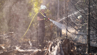 Wie Forst und Feuerwehr Waldbrände besser bekämpfen wollen