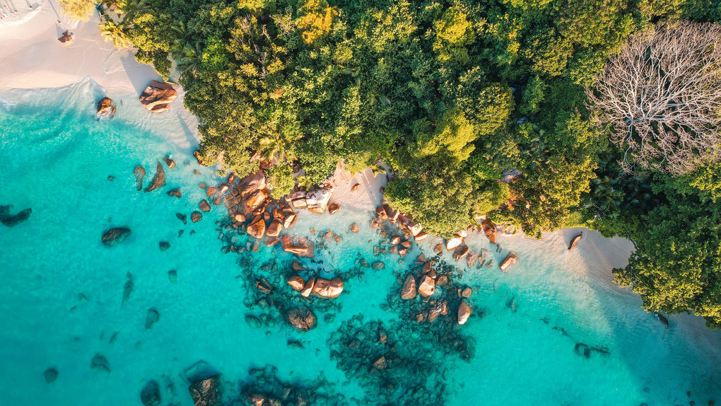 Mit harmony und Condor auf die Seychellen