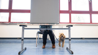 Kommunalwahlen in Hessen: Die Ergebnisse für eure Region