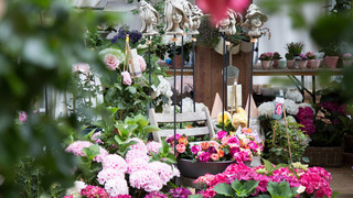 harmony.fm präsentiert die 14. Odenwald Country Fair