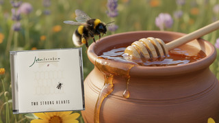 80er-Hit Two Strong Hearts (John Farnham): Honig & Bienchen