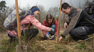Kreuz und Quer am 15. Dezember: Weihnachts-Countdown