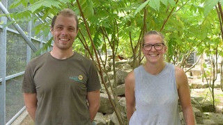 Ausgesprochen Himmlisch am 14. August 2022 - Sommeraktion Sonntagsengel