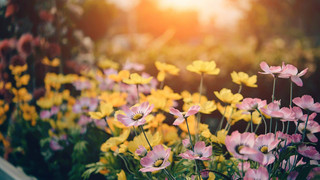 Ausgesprochen Himmlisch am 3. April - wir machen's frühlingsfit!