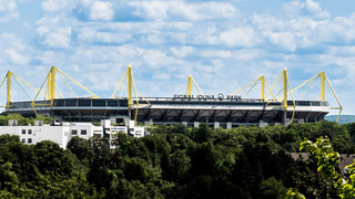 Bundesliga: Dortmund – Mainz live im Stadion