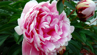 Kreuz und Quer am 28. Mai - wir feiern Pfingsten