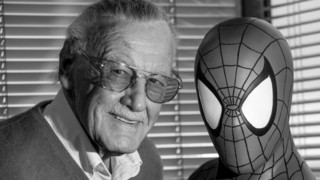 Marvel Legende Stan Lee tot