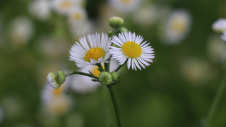 Kreuz und Quer am 2. Juli