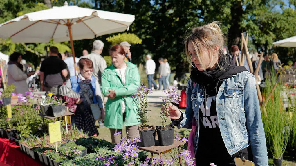 80er-harmony präsentiert den Herbstzauber Kassel