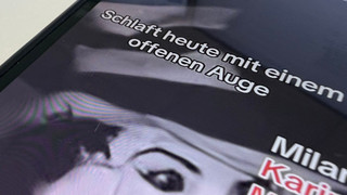 Polizei prüft Internettrend: Horror-Katze auch in Hessen?
