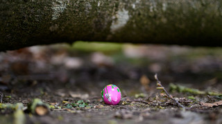 Drei Menschen sterben bei Ostereiersuche im Norden