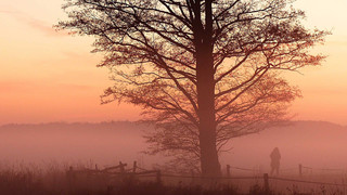 Ausgesprochen Himmlisch am 6. November - Novemberblues