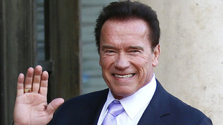 Arnold Schwarzenegger: Ständchen für seinen Esel