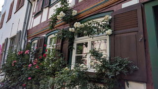 Der Stadtteil, der alle überrascht – Frankfurt Höchst