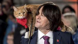 Bob der Streuner ist tot