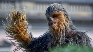 Star-Wars: Chewbacca Darsteller Peter Mayhew tot