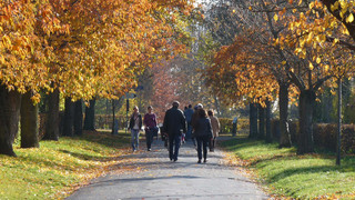 Postcard-Walk über Frankfurts Hausberg: Der Lohrberg grüßt
