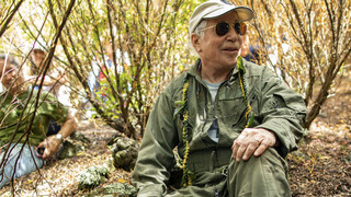 Paul Simon pflanzt einen Baum auf Hawaii