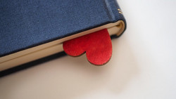 Schöne Bücher entdecken im Mainzer Museum