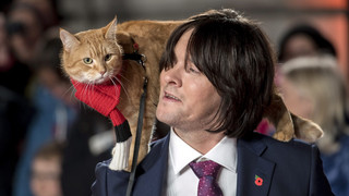 Bob der Streuner ist tot